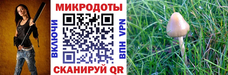 Галлюциногенные грибы Magic Shrooms  Арсеньев 